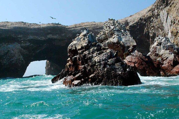 Paracas : Tour to the Ballestas Islands by Modern Boat
