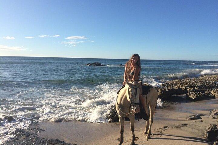 Horseback Riding in Tamarindo Beach