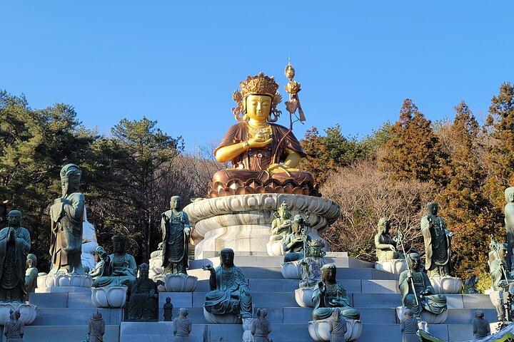 Busan Beomeosa Temple & Hongbeopsa Temple with Bibimbap lunch