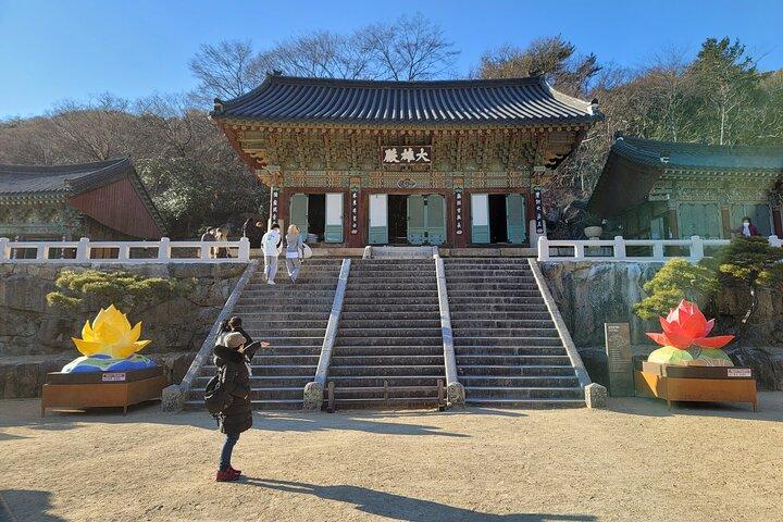 Busan Beomeosa Temple & Hongbeopsa Temple with Bibimbap lunch