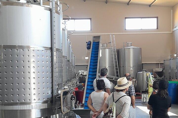 Lagos and Ponta Da Piedade Private Tour & Algarvian Wine Tasting