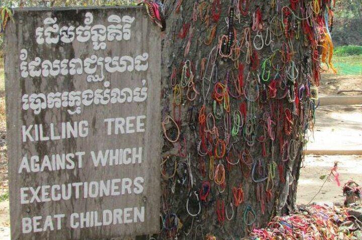 Tuol Sleng Genocide Museum (S-21) and Choeung Ek Killing Fields Tour