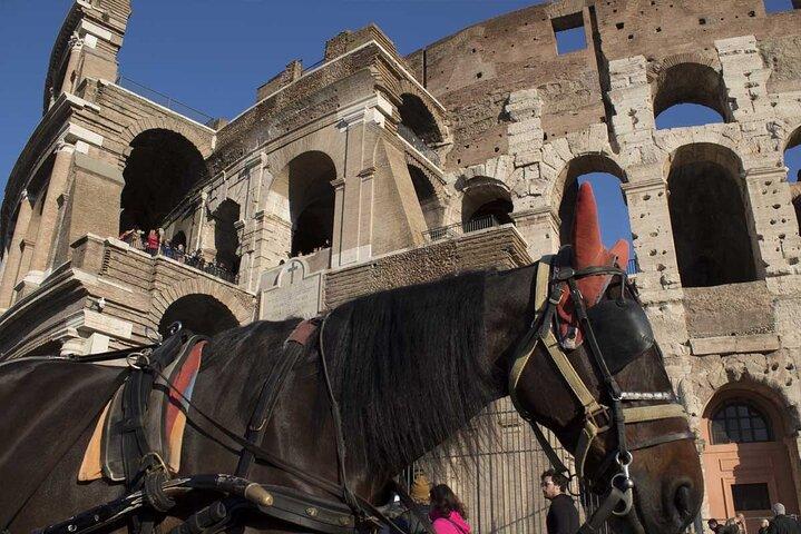 Roman Colosseum Small Group Tour for Kids & Forums