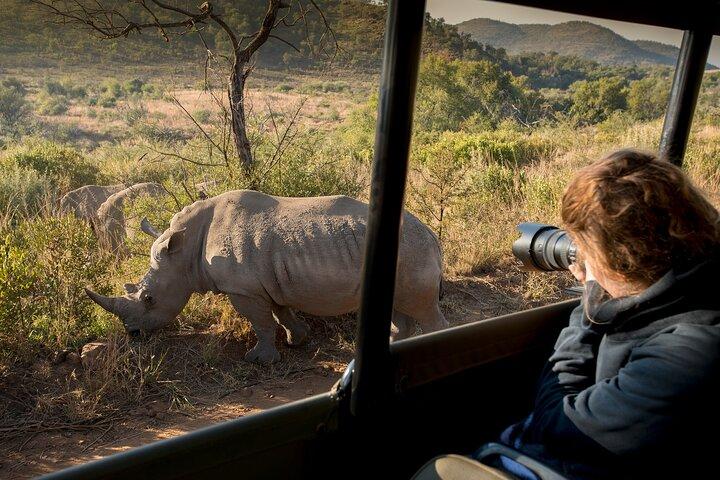 Full Day Ultimate Pilanesberg National Park Safari from Johannesburg or Pretoria
