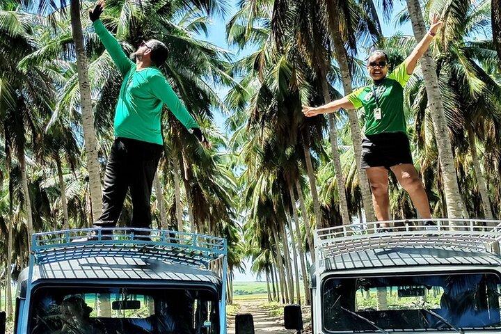 Full Day Tour on the Coqueirais Trail