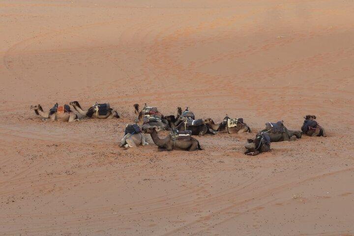 2 Days Trip Sahara Desert from Fez finish in Marrakech