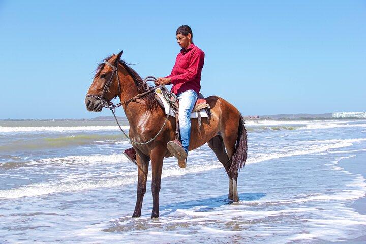 Horseback Riding Tour through the Beaches of Cartagena de Indias