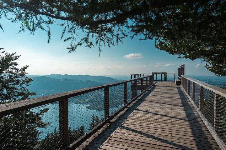 Immersive Private Tour: Hallstatt After the Crowds & Treetop Path