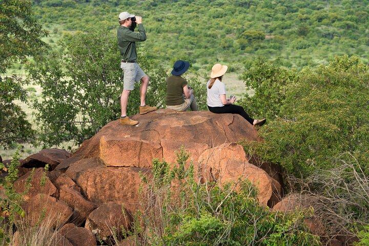 Private Ultimate Pilanesberg Safari from Johannesburg
