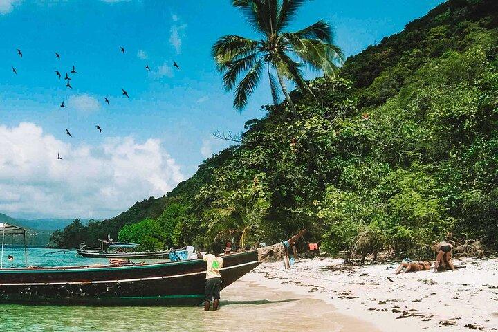 Koh Samui Island Hopping Adventure in Coral and Pig Island
