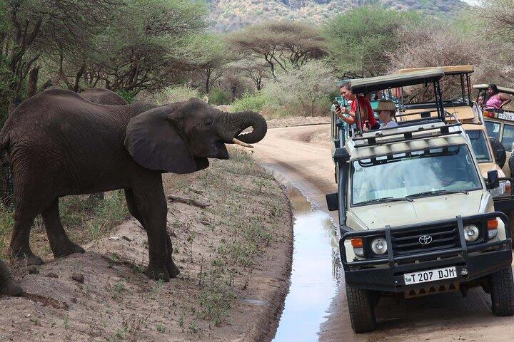 Private Lake Manyara National Park Day Trip from Arusha