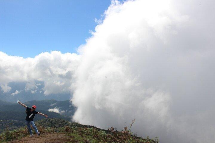 Chiang Mai: Doi inthanon National Park + 2Hr Fantastic Trekking