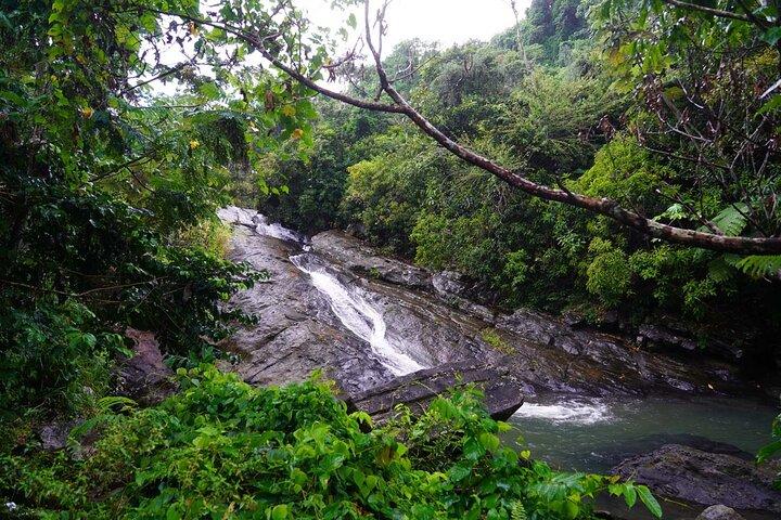 Private El Yunque Waterslides and Luquillo Beach Tour