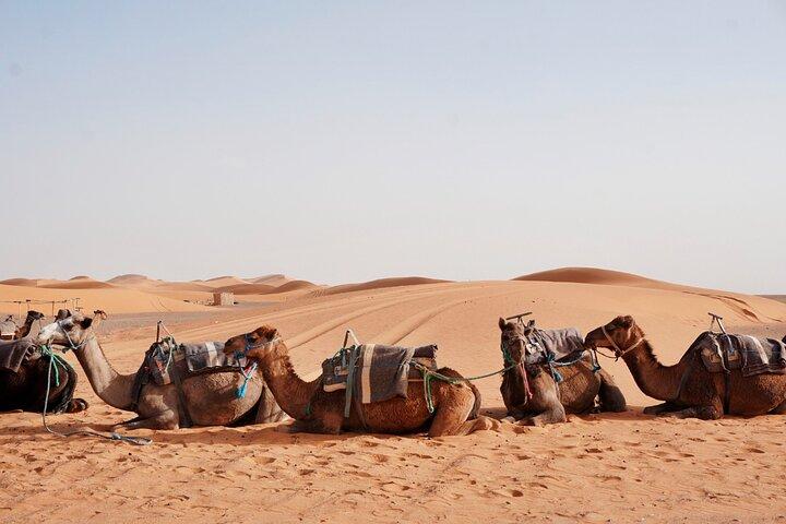 Shared 3 Days Desert Tour from Marrakech (Private Accommodations)