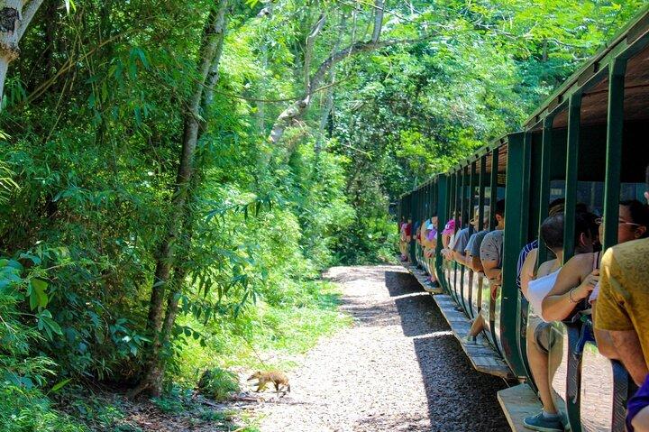 Iguazu Falls: Argentinian Side with Rainforest Ecological Train