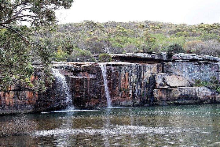 Private tour of Kiama Blowholes, Sea Cliff Bridge and Wattamolla