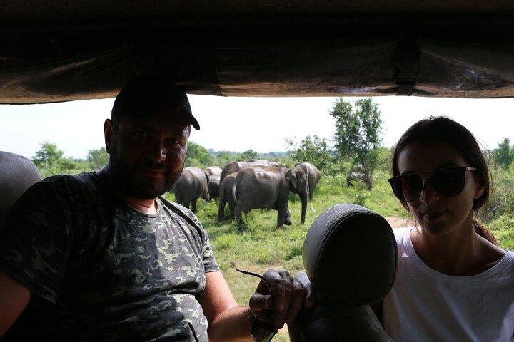 Explore Beauty Of Yala (Ruhuna) National Park From South Coast in One Day.
