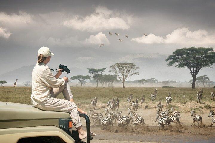 6 Days / 5 Nights Tanzania Big Five Safari & Materuni Waterfalls