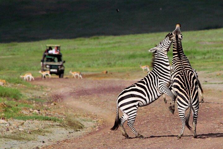 6 Days / 5 Nights Tanzania Big Five Safari & Materuni Waterfalls