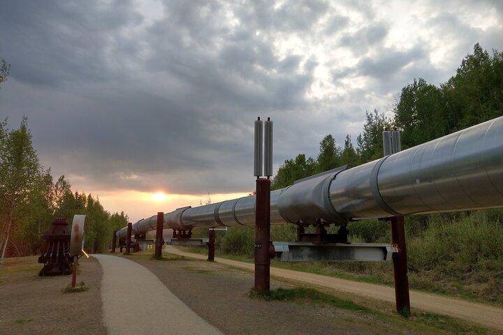 Arctic Circle Full-Day Adventure from Fairbanks
