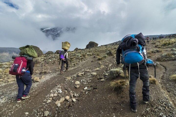 5 Days Trekking Tour in Marangu Route to Mt Kilimanjaro