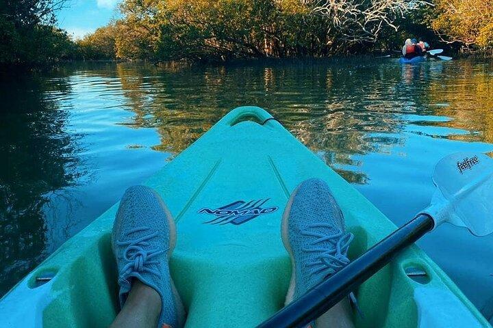 Mangrove Kayaking Abu Dhabi