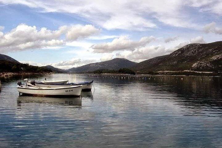 Oysters and mussels tasting with wine in Ston and Pelješac