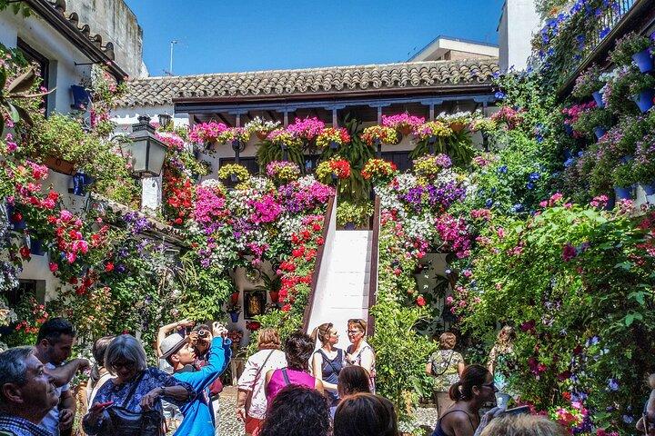 Private tour to Cordoba from Seville (several options)