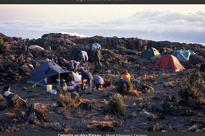 7 Days Kilimanjaro Hiking through Lemosho Route