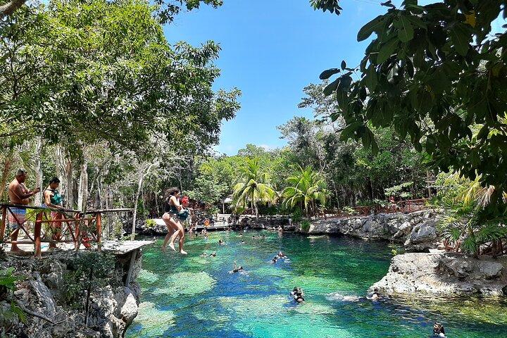 Full Day Tour 5 Natural Cenotes in Tulum from Cancun