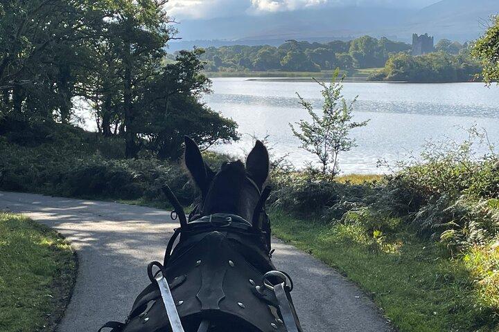 Horse-Drawn Carriage Tours in Killarney