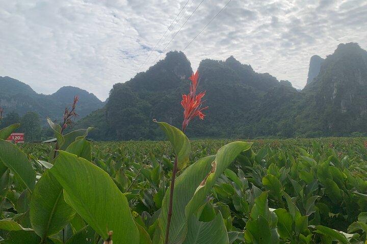 Hanoi - Cao Bang city - Ban Gioc Warterfall 2days/2nights ED7