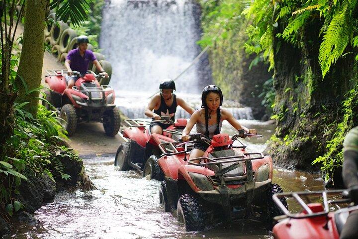 Bali Quad Bike Through Gorilla Cave - Monkey Forest and Waterfall
