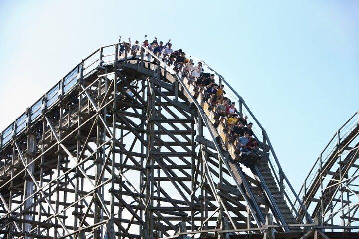 Private Everland Theme Park Tour