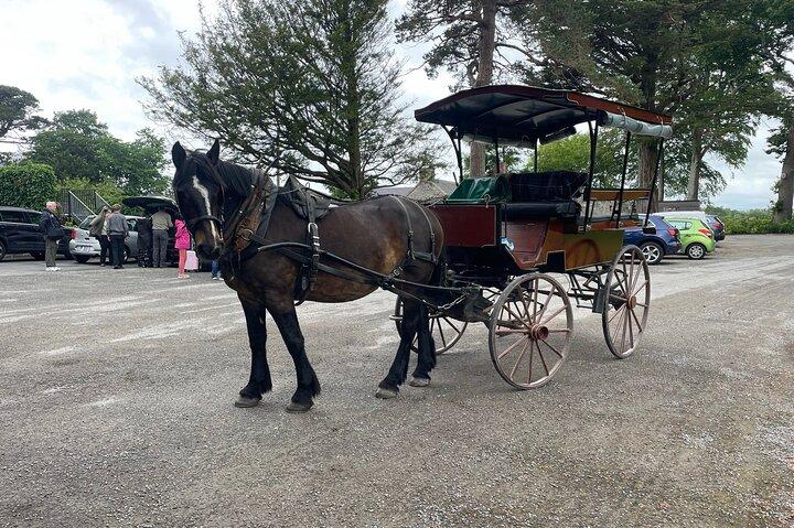 Horse-Drawn Carriage Tours in Killarney