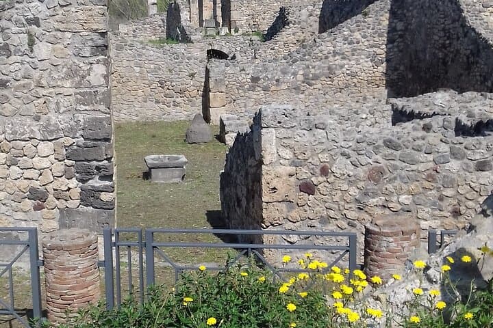 Full Day Tour Pompeii–Sorrento -Positano
