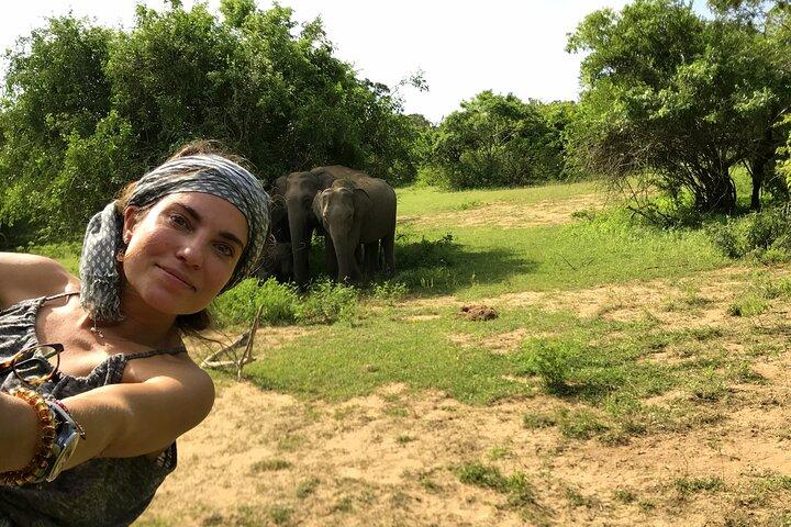 7 Day Best of Sri lanka
