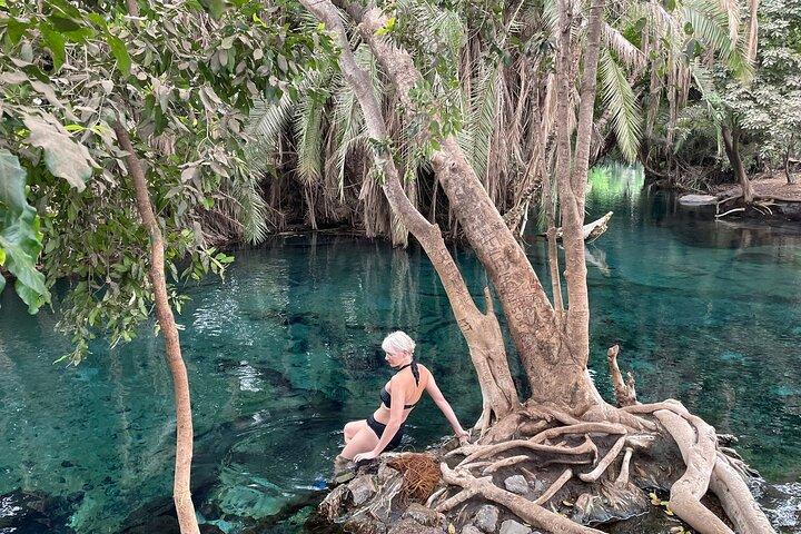 Materuni waterfalls,coffee tour & Kikuletwa(Chemka)Hot Springs