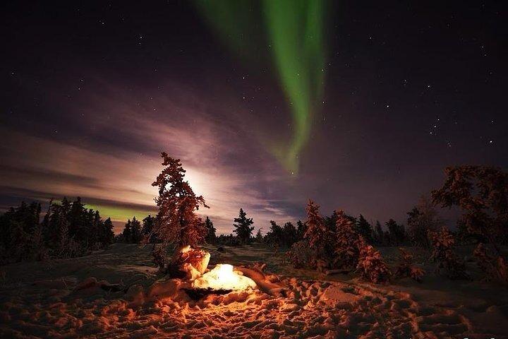 3-Day Guided Tour to Yellowknife Aurora Viewing