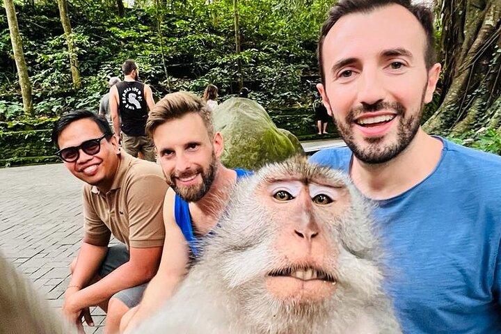 Bali Jungle Swing & Ubud Tour