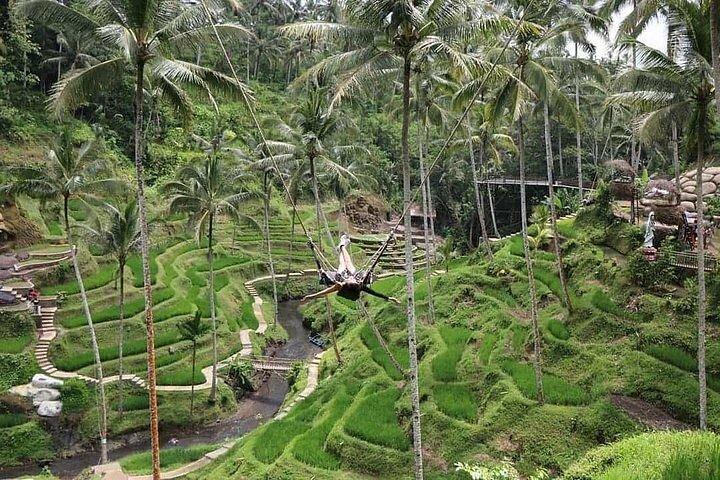 Bali Jungle Swing & Ubud Tour