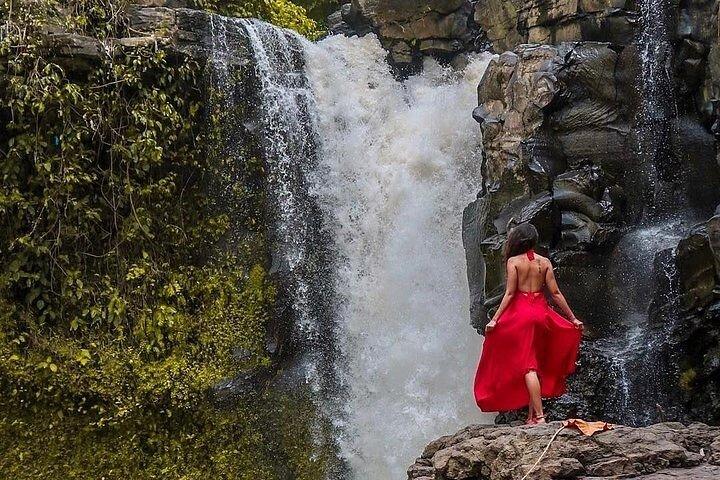 Bali Jungle Swing & Ubud Tour
