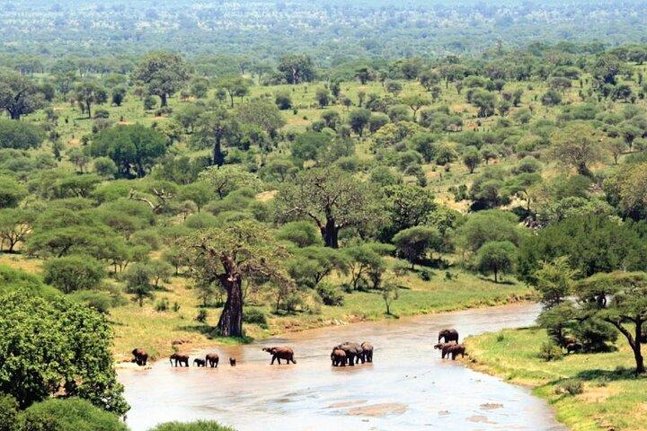4-Day Luxury Fly-In from Zanzibar for the Wildebeest Migration