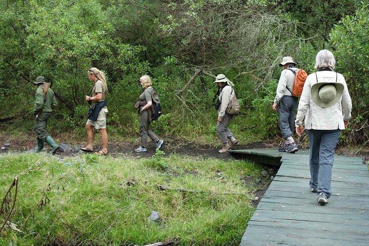 Kilimanjaro Private 2 Days Hiking Tour