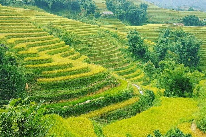 Sapa 3 Days Trekking Tour (1 Night in Bungalow, 1 Night In Hotel)