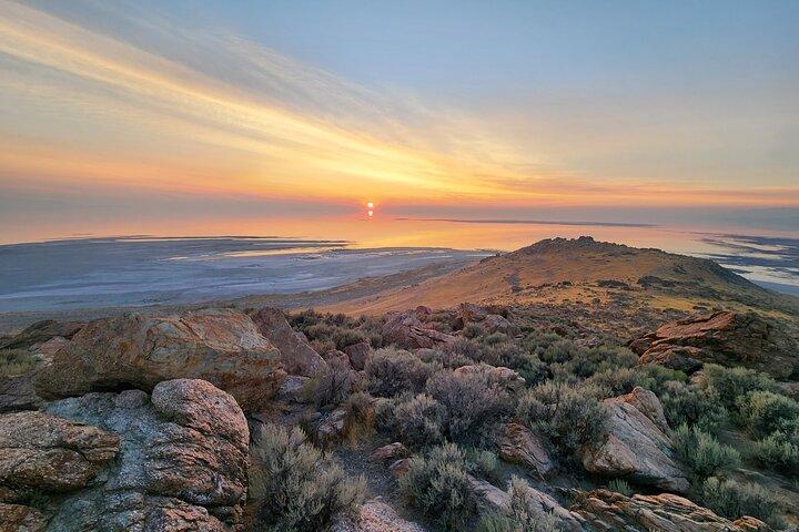Great Salt Lake Wildlife Experience