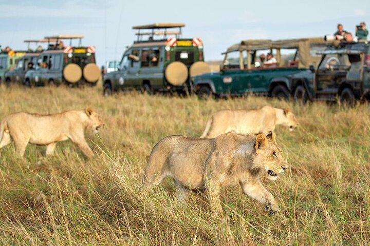 Nairobi National Park Group Tour