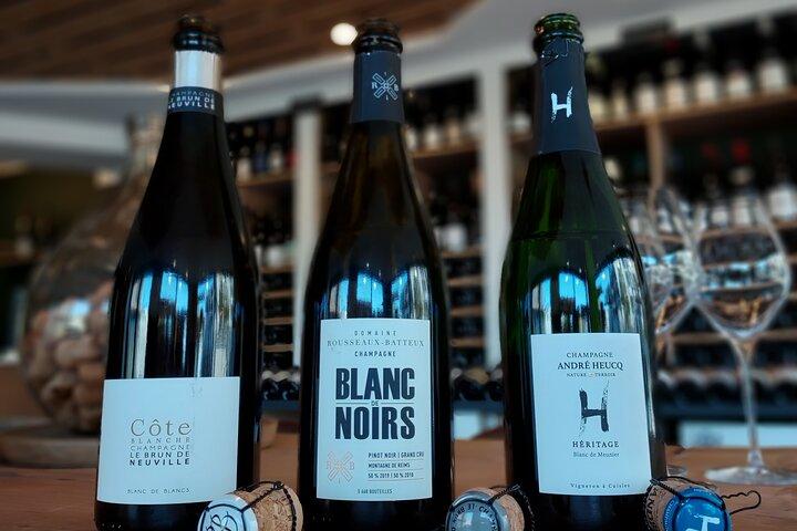 Tasting and discovery of the 3 Champagne grape varieties