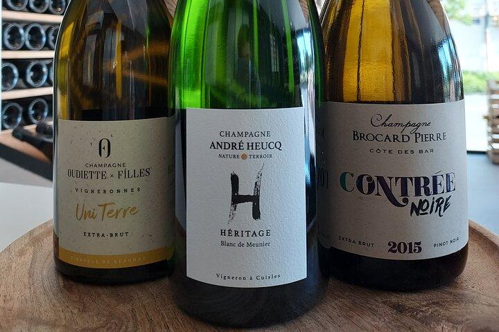 Tasting and discovery of the 3 Champagne grape varieties