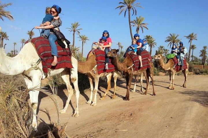 2H Camel Ride in Marrakech